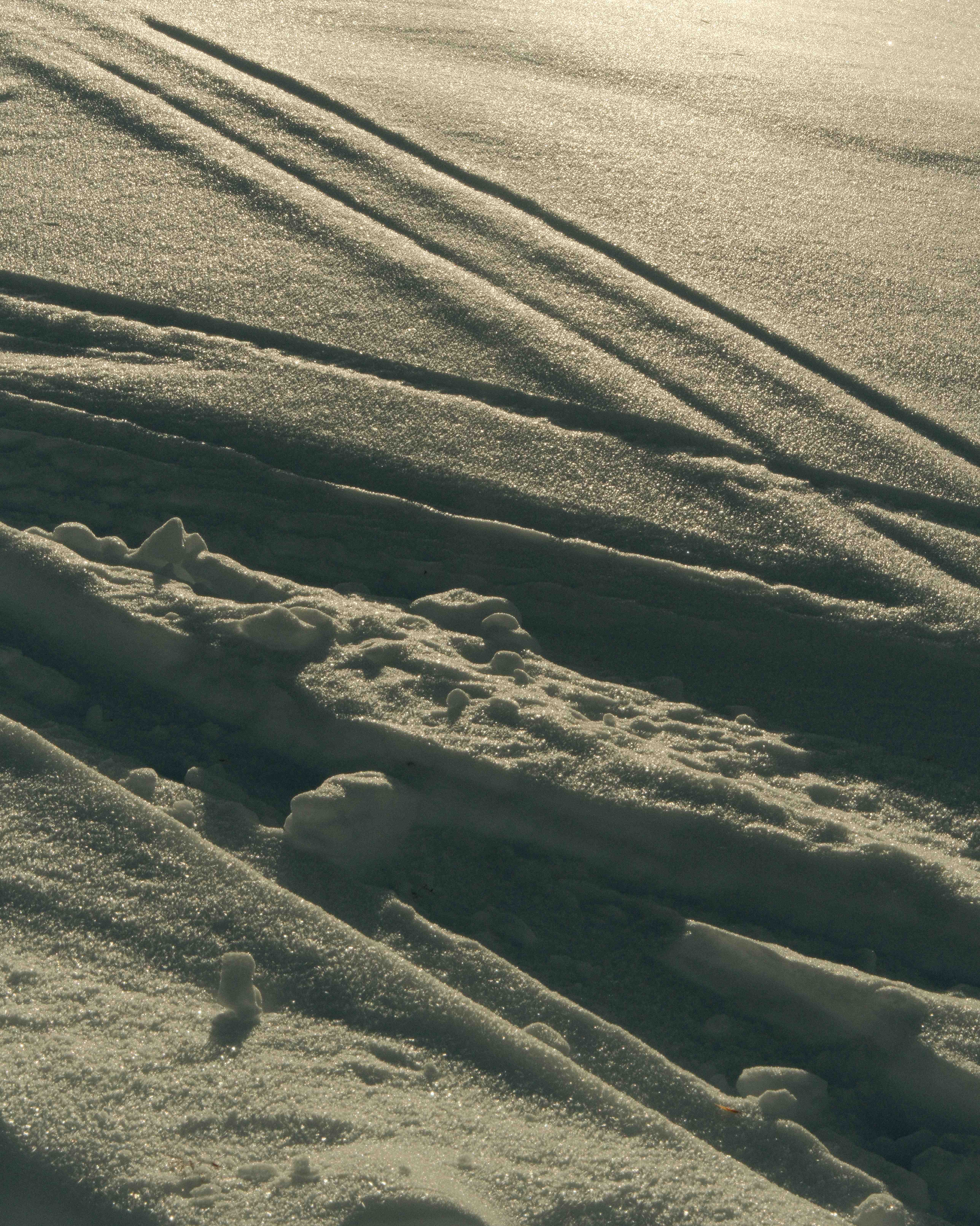 Winter Light