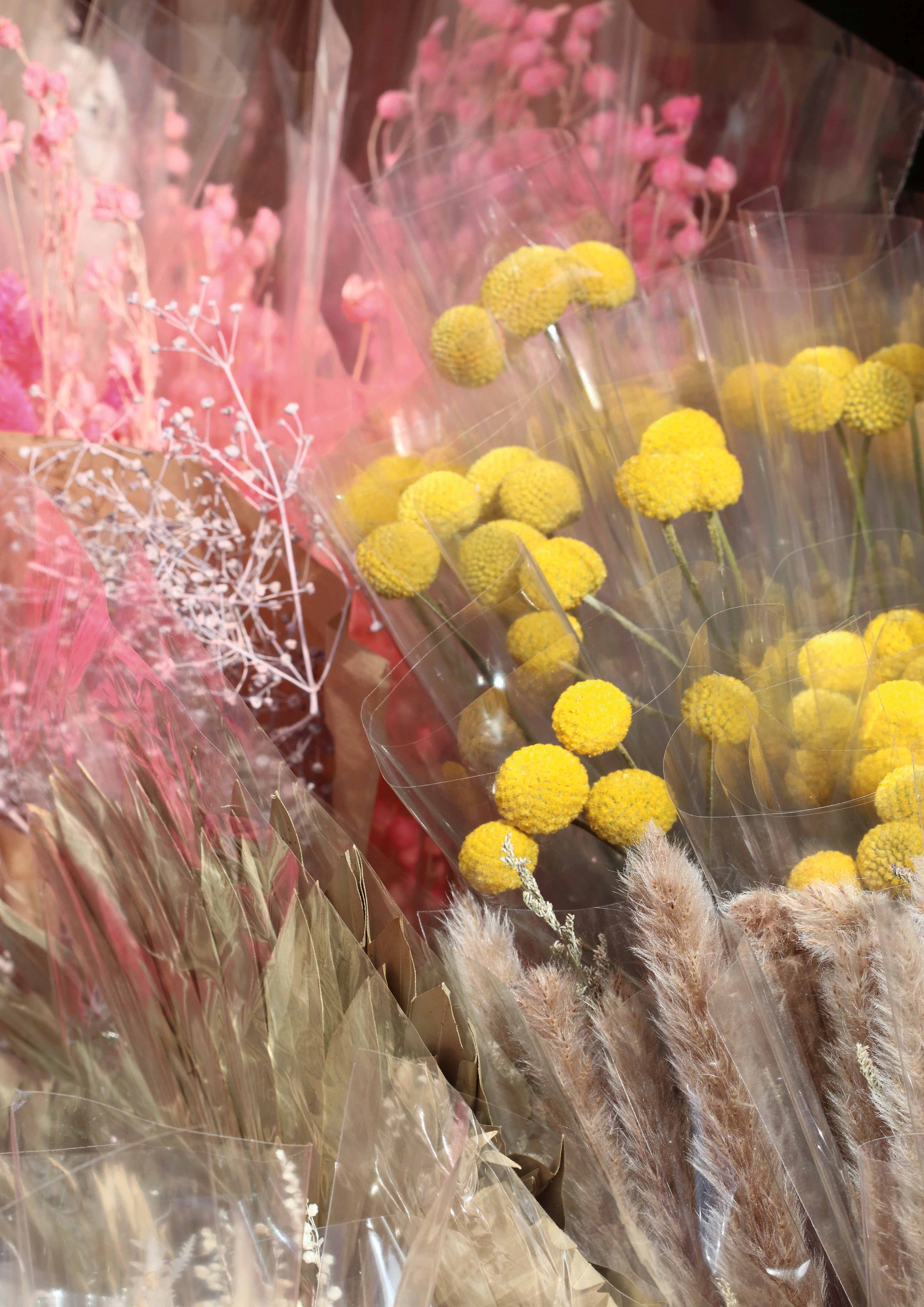 Dried Flowers - Artwork