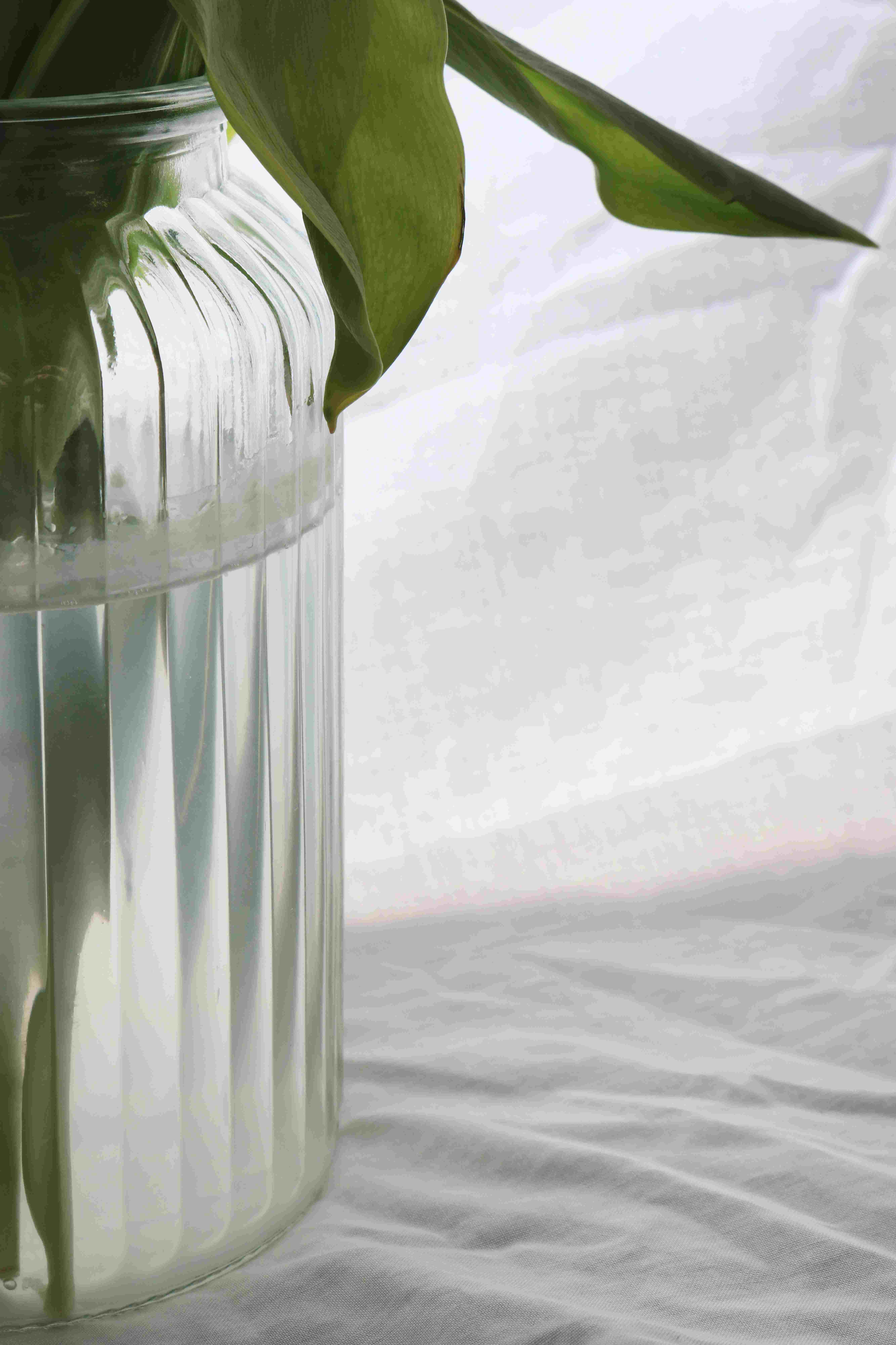 Vase Study - Artwork